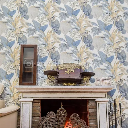 A Casa Di Rino Nettuno